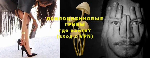 a pvp Абинск