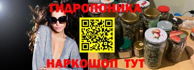 круглые Кингисепп