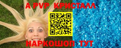 круглые Кингисепп
