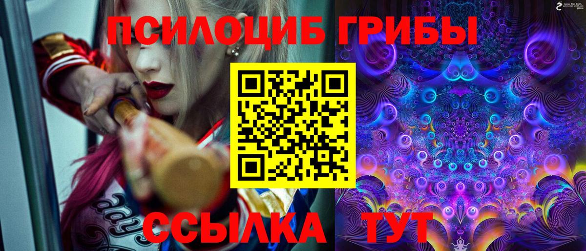 Лангепас  Псилоцибиновые грибы прущие грибы  Галлюциногенные грибы прущие грибы  Вход с VPN 